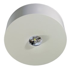 RP-Group ILDL423WB-ANZ Emergency Light Wireless-Basic Surface Mounting with 3-hour Battery IP40 White Polycarbonate Housing