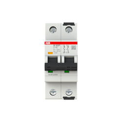 ABB M302PD40 Miniature Circuit Breaker 12.5 kA 2-P 40A 415V D-Magnetic Curve