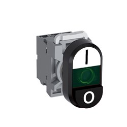 ABB MPDIEGWBI620 Illuminated Double Pushbutton Kit Flush/Extended Green I/O White/Black 220VDC 2NO LED Block