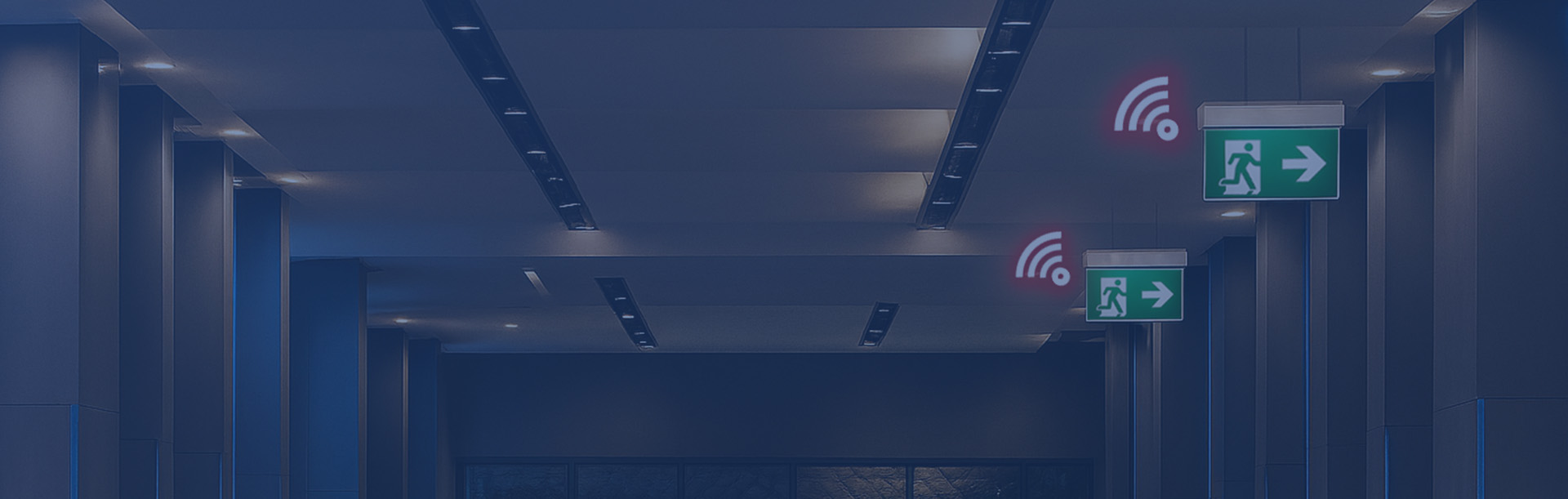 <p><span style="font-size: 18px;" class="font-normal">Discover RP-Group&rsquo;s advanced centralised and wireless emergency lighting solutions, now available at IPD.</span></p>
<p>Whether you&rsquo;re working on a new development, upgrading an existing building, or designing a multi-site installation, RP-Group's emergency lighting solutions integrate easily and scale effortlessly. Combined with IPD&rsquo;s trusted support and product knowledge, it&rsquo;s easier than ever to specify, purchase, and deploy a high-performance emergency lighting system.</p>