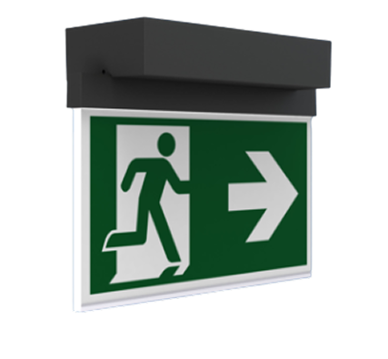 Wireless Professional Emergency Lighting