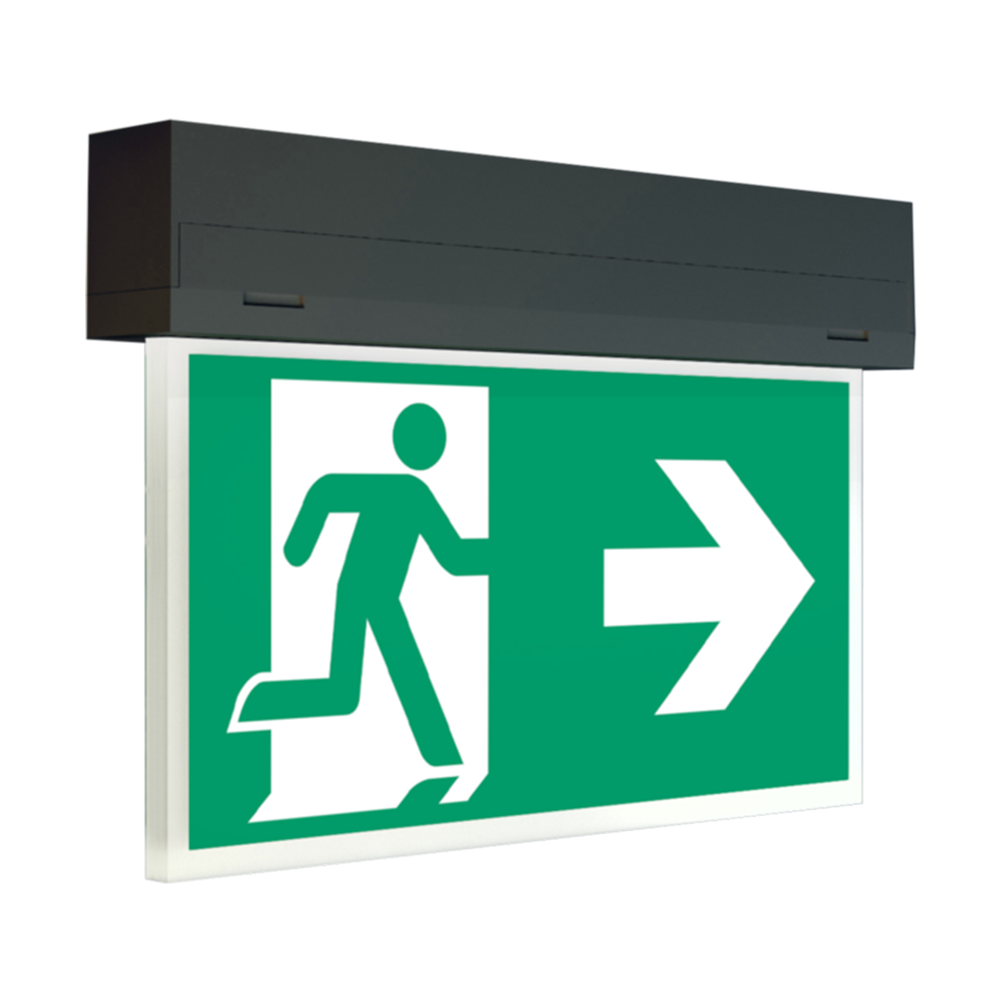Wireless Professional Emergency Lighting